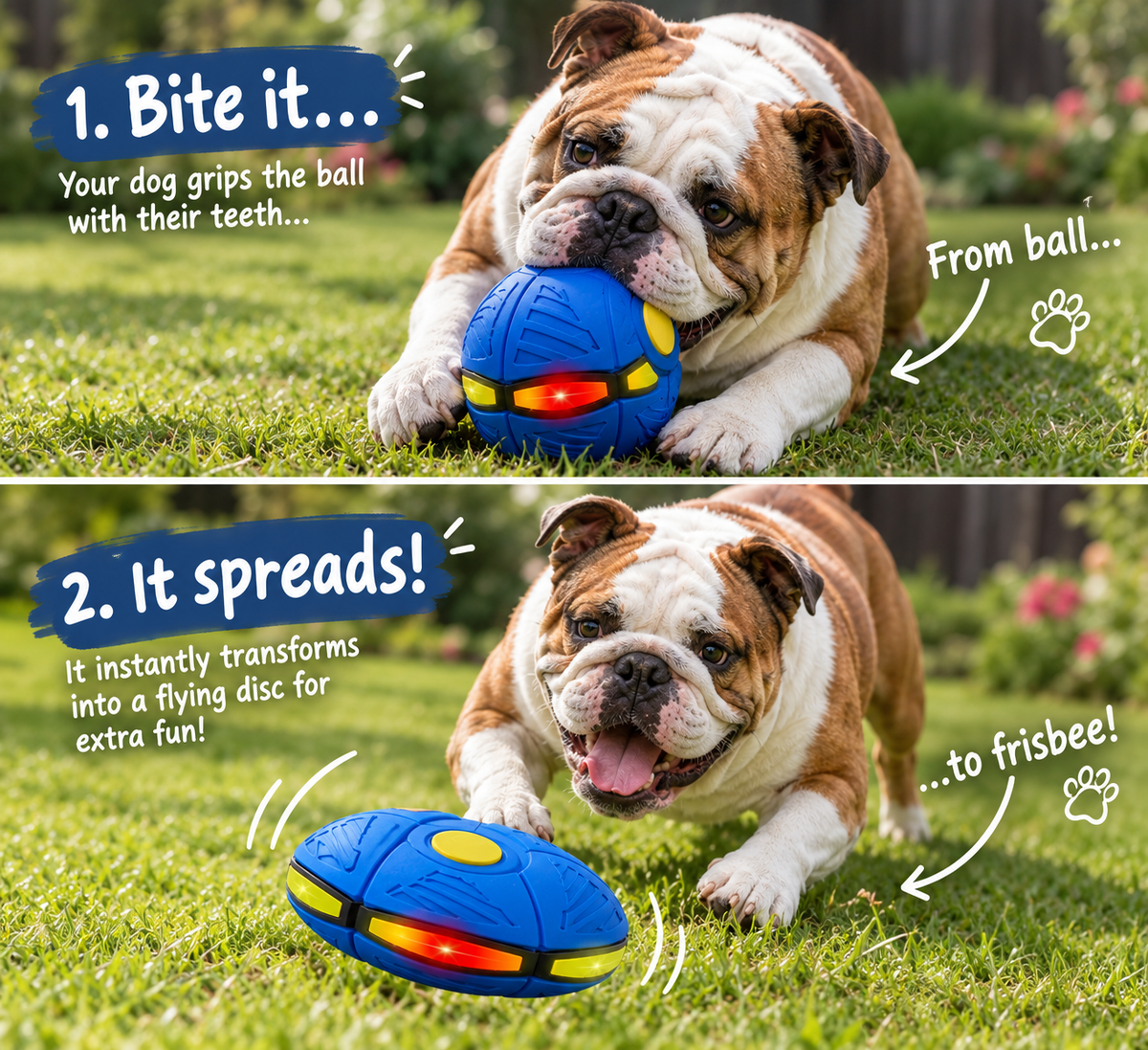 Claw & Paw Co.™ Dog Frisbee