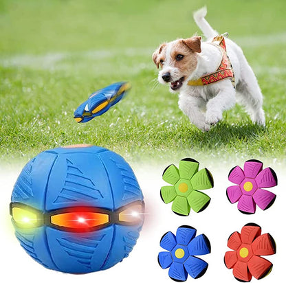 Claw & Paw Co.™ Dog Frisbee