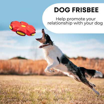 Claw & Paw Co.™ Dog Frisbee