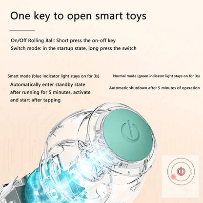 Claw & Paw Co. Interactive Ball