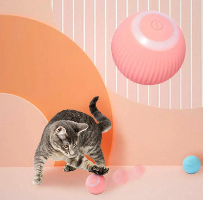 Claw & Paw Co. Interactive Ball