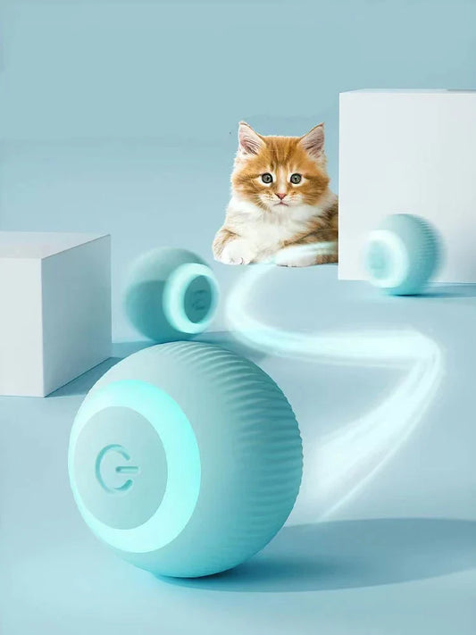 Claw & Paw Co. Interactive Ball