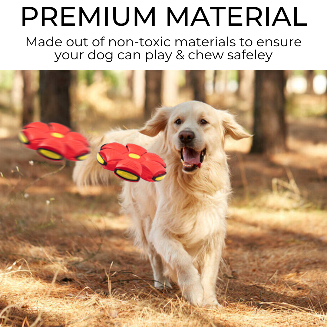 Claw & Paw Co.™ Dog Frisbee