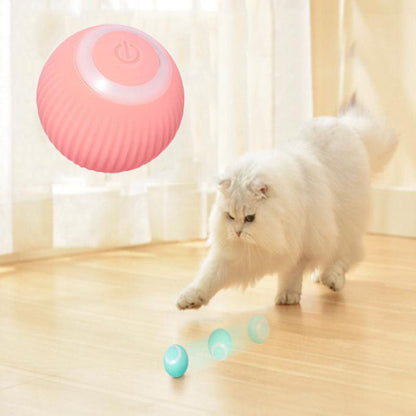 Claw & Paw Co. Interactive Ball