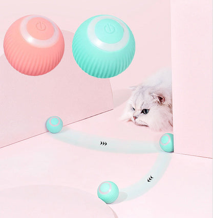 Claw & Paw Co. Interactive Ball